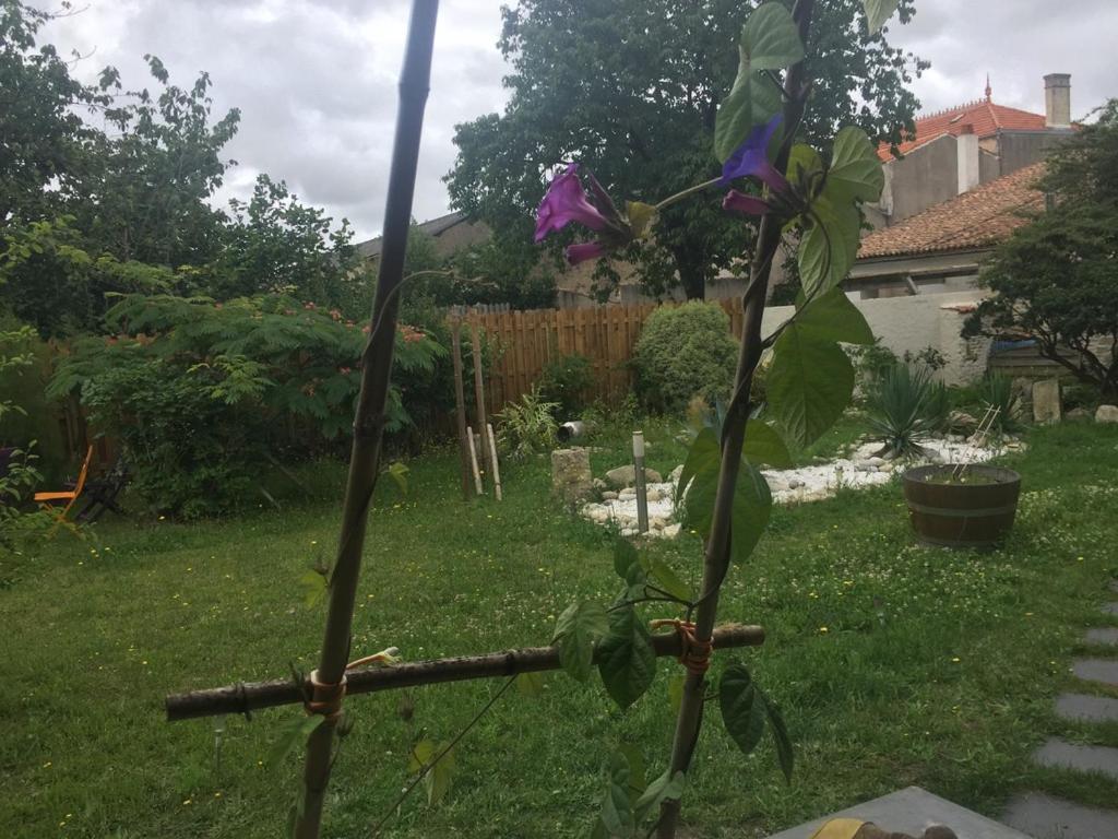 Accacia Home Ferrieres  Екстер'єр фото